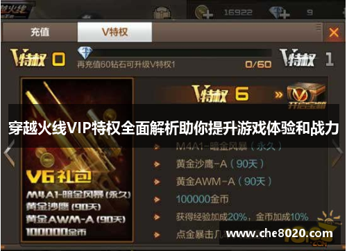 穿越火线VIP特权全面解析助你提升游戏体验和战力