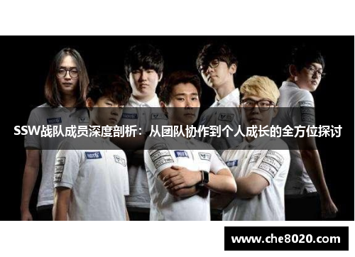SSW战队成员深度剖析：从团队协作到个人成长的全方位探讨