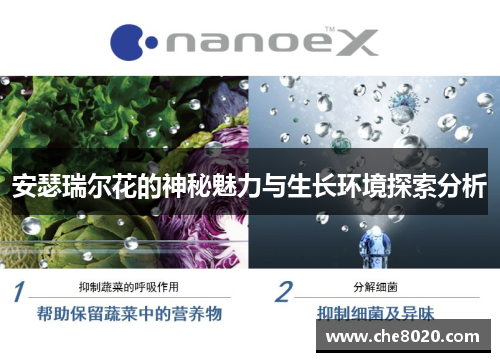 安瑟瑞尔花的神秘魅力与生长环境探索分析